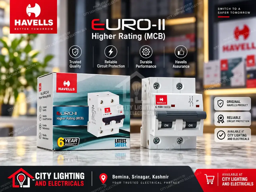 Havells EURO-II 100A DP C-Curve MCB – 10kA, 240/415V | DHMJCDPF100